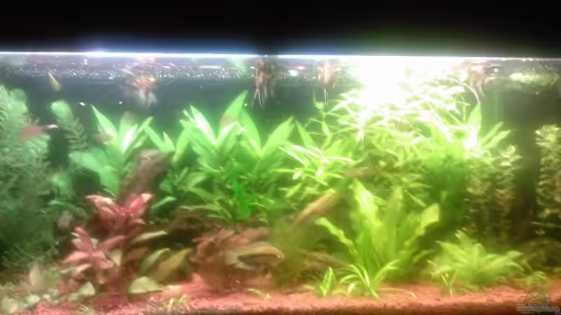 mein Becken am 13.10.2008