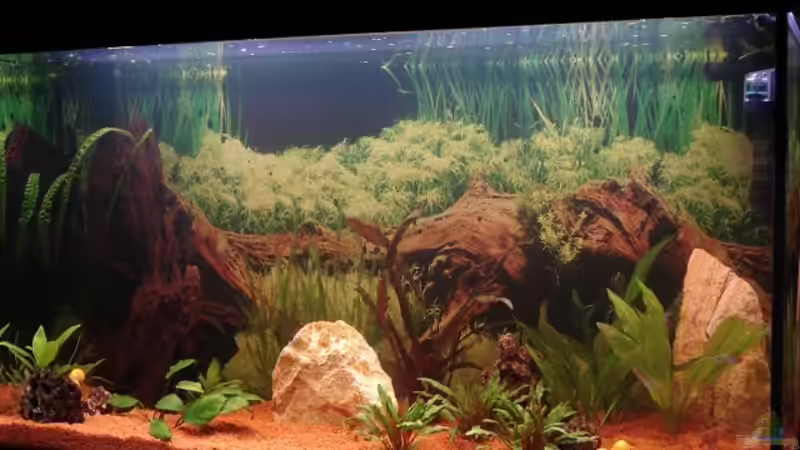 Mein Becken am 30.03.2006 von Sven Seidel (3)