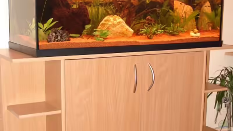 Mein Becken am 30.03.2006 von Sven Seidel (4)