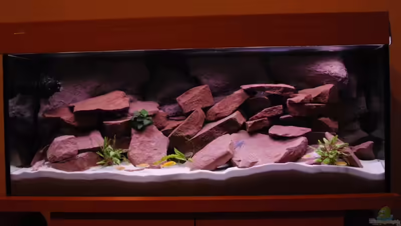 Mein Becken am 30.08.2011 von Tobi787 (5)