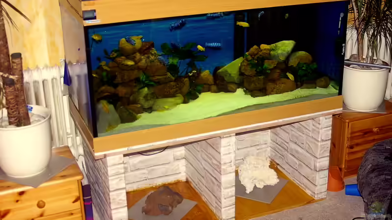 Mein Becken mit dem selbstgebauten Unterbau von Hr.Lampe (5)