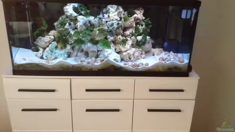 Mein Becken mit neuer Beleuchtung   von similis (2)