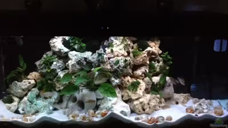 Mein Becken mit neuer Beleuchtung   von similis (3)