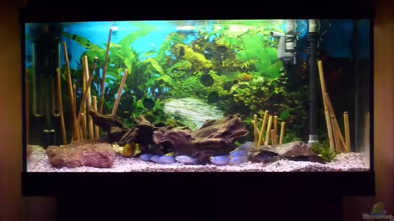 Mein Becken Vollansicht von SLK Malawi (2)