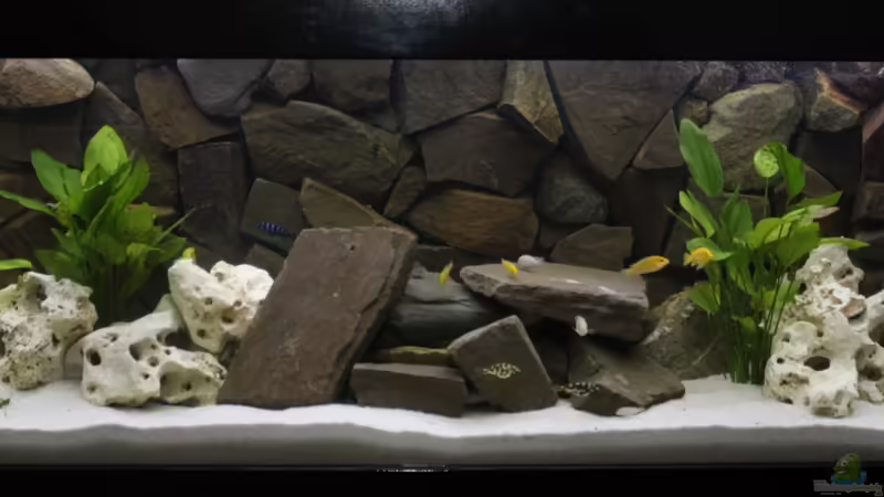 Mein Becken von De_Andyman (1)