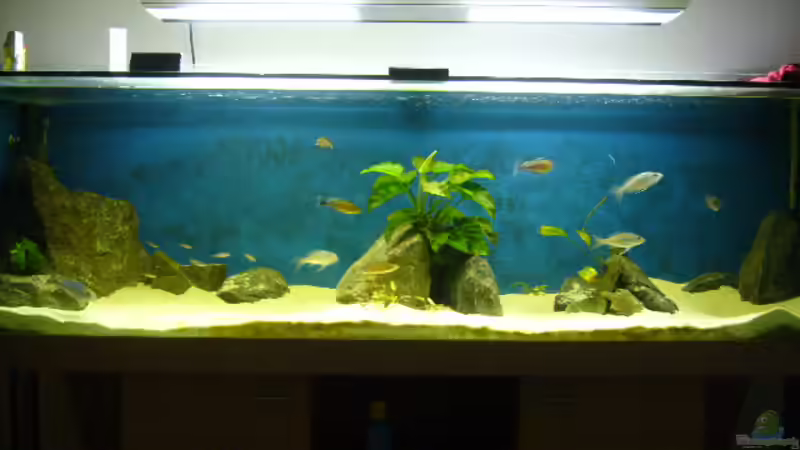 Mein Becken von Lehmann Sven (1)