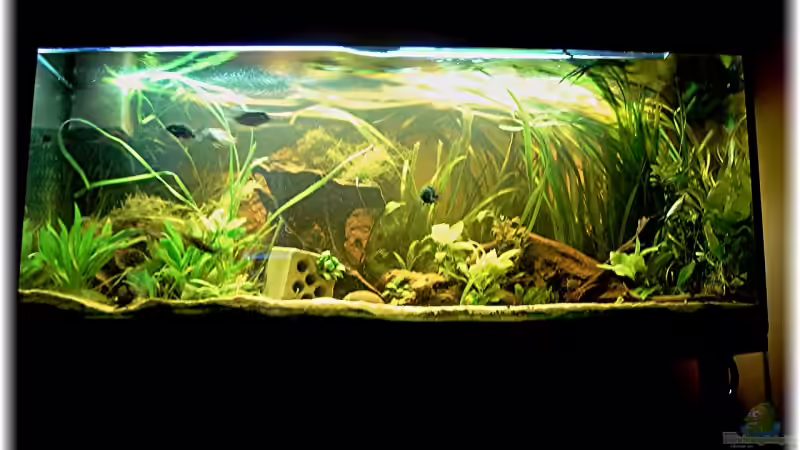 mein becken von Lorenz Graf (1)