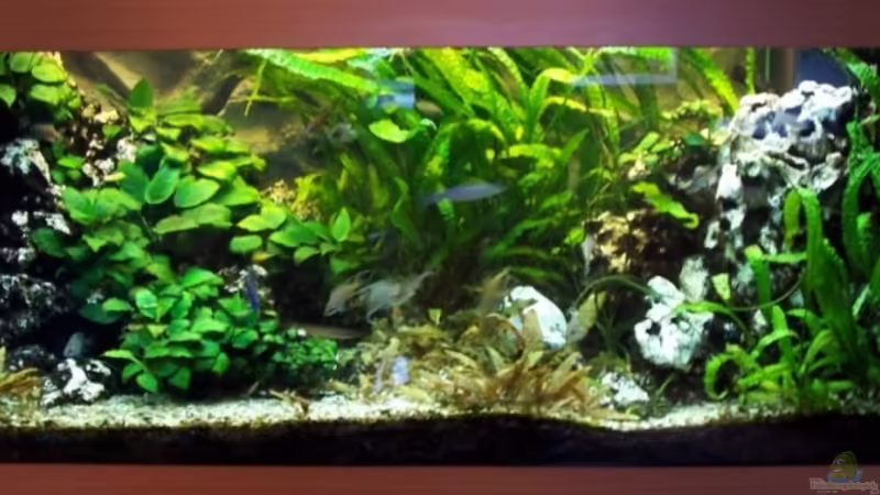 Mein Becken von Markus Seipp (1)