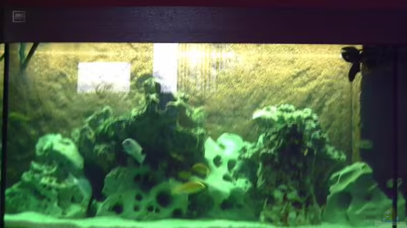 Mein Becken von Pascal Lehmann (1)