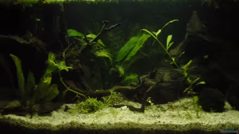 Mein Becken von Philipp Schmitt (2)