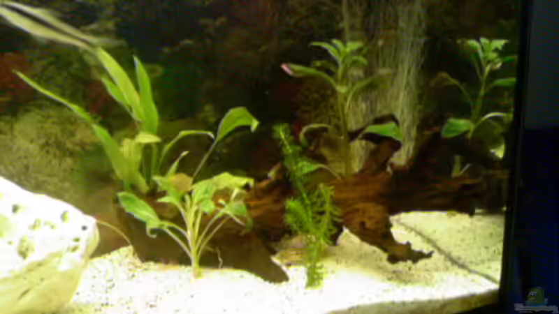 mein becken von Rechts von Ingo Weiß (5)