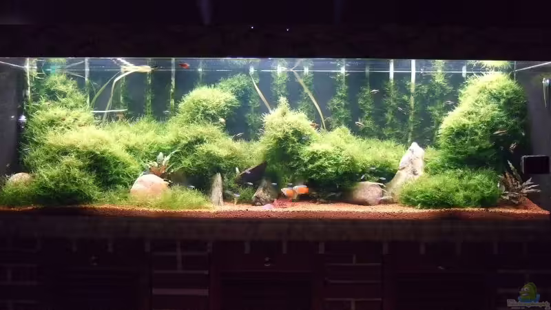 Mein Becken von Sebastian Winkel (1)