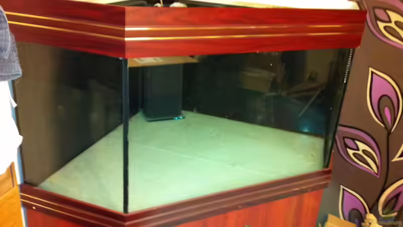 mein Becken von Snakehead (2)