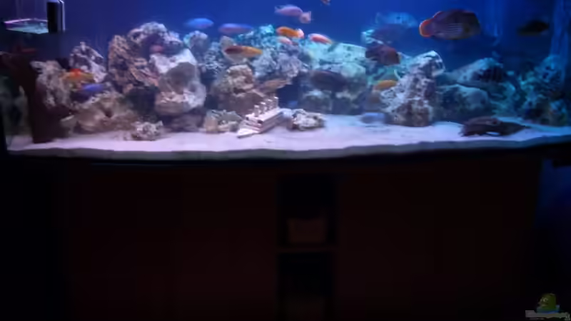 Mein Becken von Stephan Krammer (1)