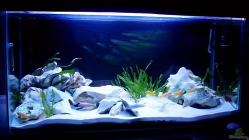 Mein Becken von vorne