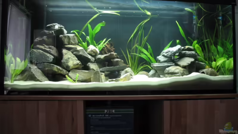 Mein Becken von Zonk (1)