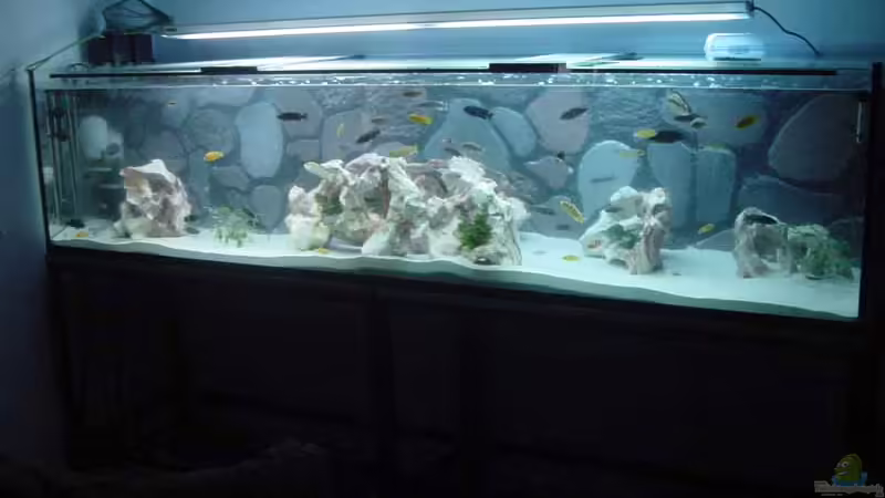 Mein Becken Mein Becken