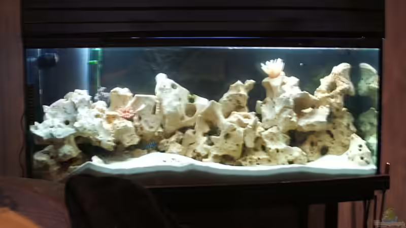 Mein Becken Mein Becken