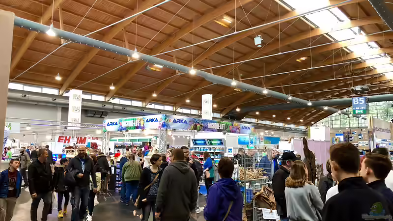 Mein Besuch auf der Aqua-Fisch in Friedrichshafen
