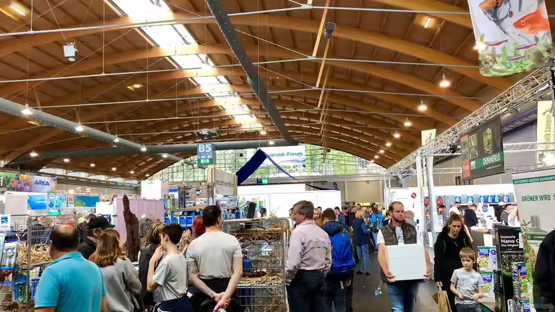 Mein Besuch auf der Aqua-Fisch in Friedrichshafen