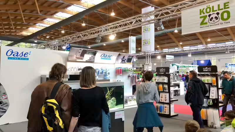 Mein Besuch auf der Aqua-Fisch in Friedrichshafen