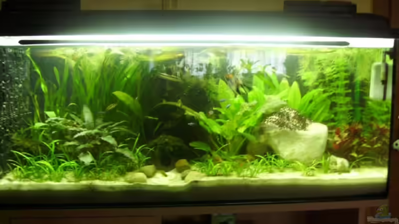 Mein Biotop.......... ;-) von Marcel Wilke (1)