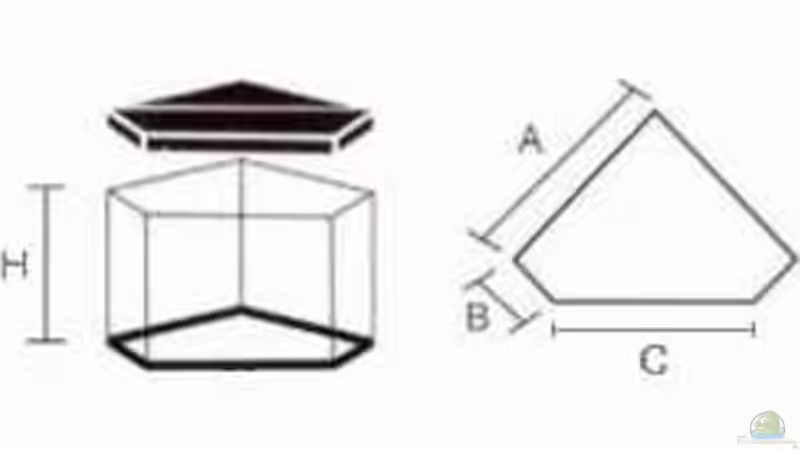Mein Deltabecken für die Zimmerecke. von Andreas Gross (2)