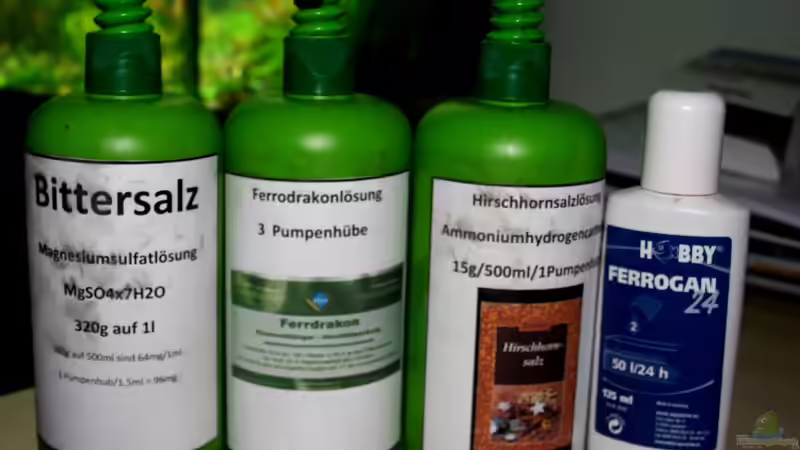 Mein Dünger von @mazonas (37)