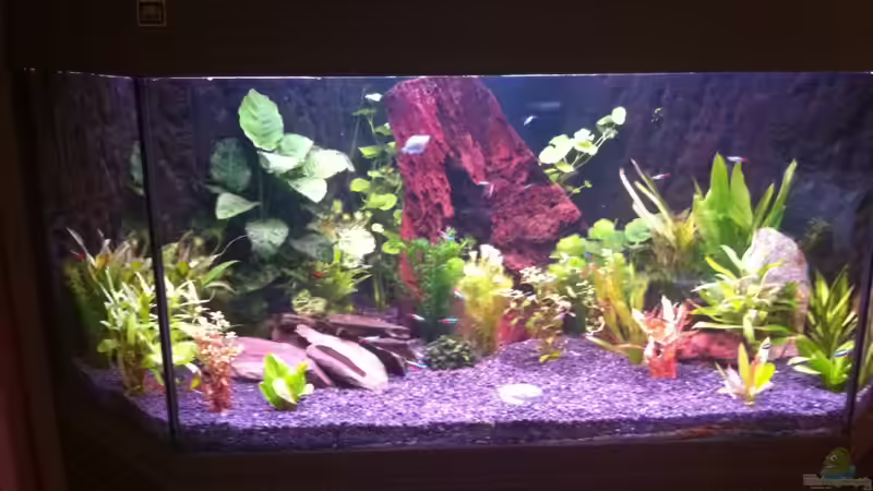 Mein Eck AQ von StefanO13