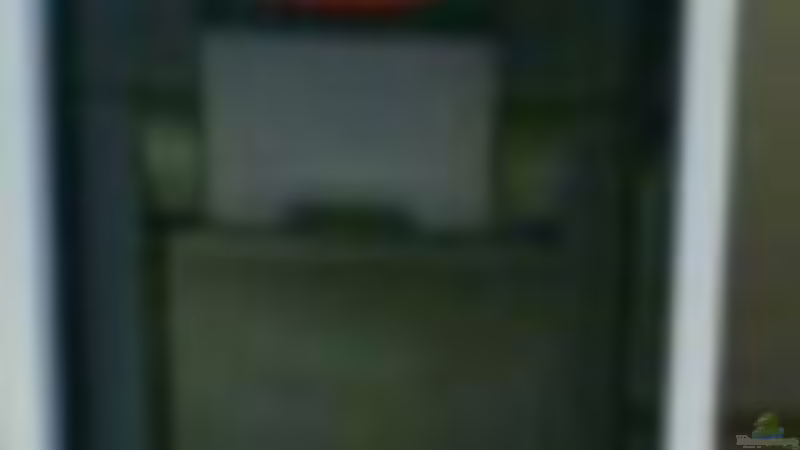 Mein Eheim 2073 von &lt;---MARCO---&gt; (17)