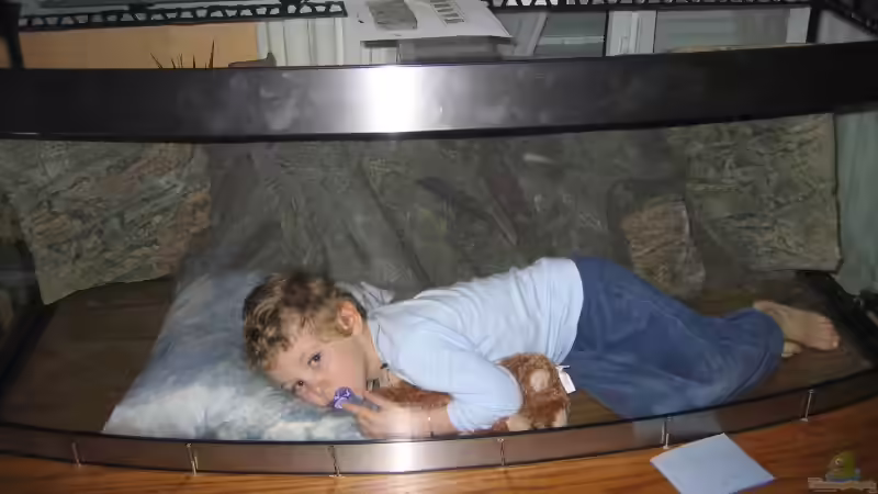 Mein erster Besatz, eine Rarität selbst gezüchtet, ein kleiner Florian von Hubert Demonty (22)