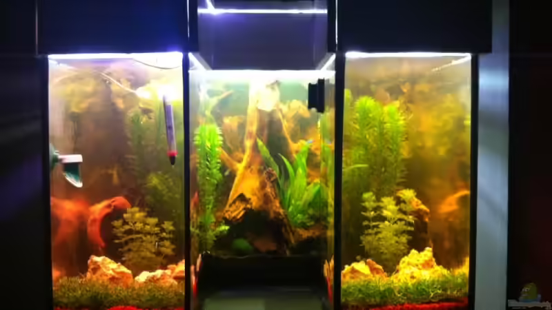 Mein erster selbst Bau von GenesisEpoche (1)