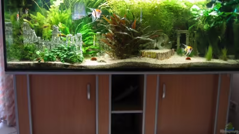 Mein erstes Becken :-) von Beat Affolter (2)