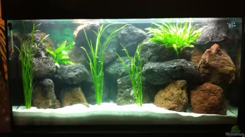 Mein erstes Becken von Manuel Fuchs