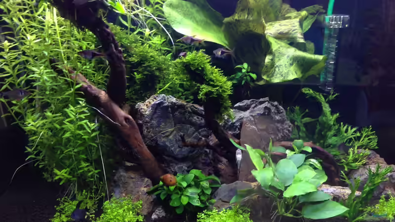 Mein erstes Becken von Tim L. (2)