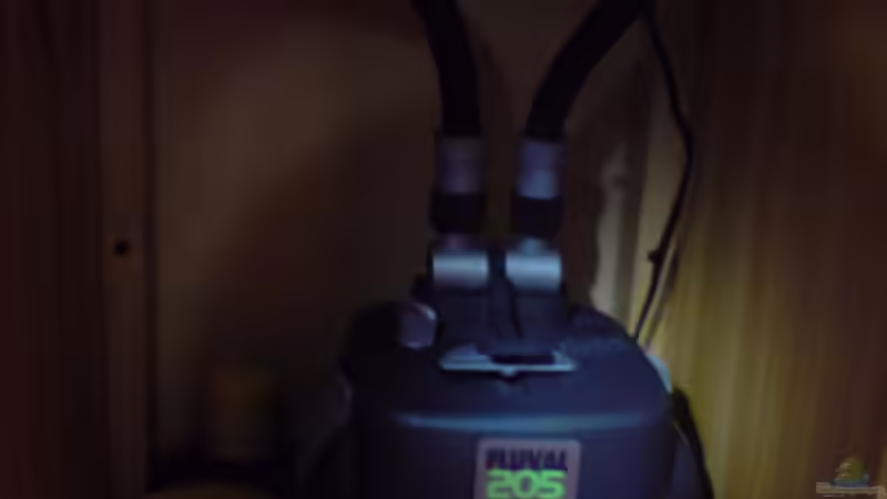 mein Filter Fluval 205 von Jonathan Helbig (8)