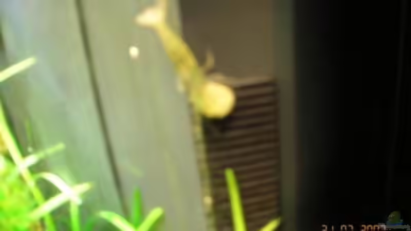 mein Futter.... von Reimund Wessel (8)