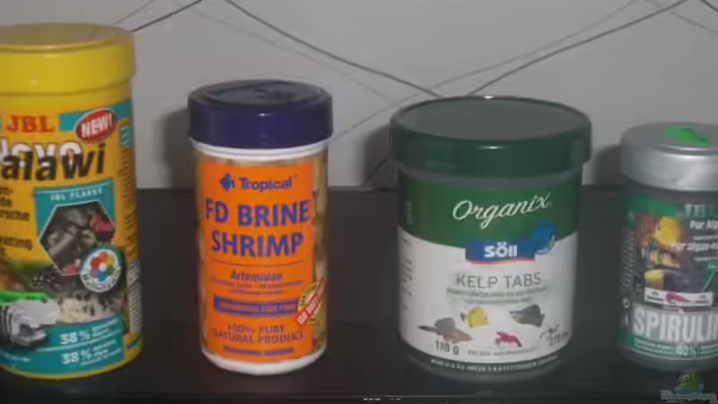 Mein Futterhaushalt von Kai Pragal (19)