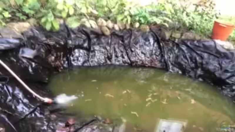 Mein Gartenteich ??? Frühjahrs-Putz