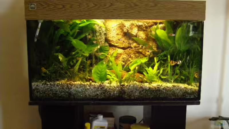 Mein gesamtes Becken