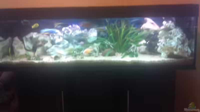 Mein Grosses  von Doscom (1)