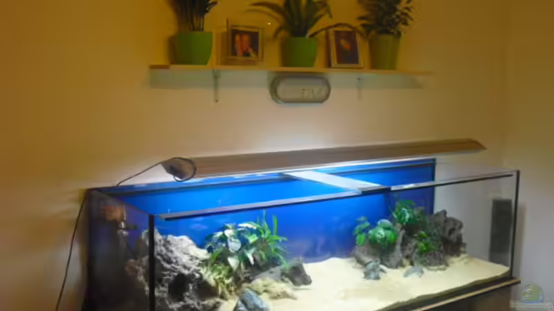 mein Hauptbecken von Erich Michalek