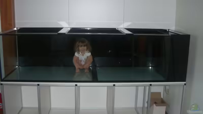 Mein Haupthobby :-) von Dominik Steigewald (3)