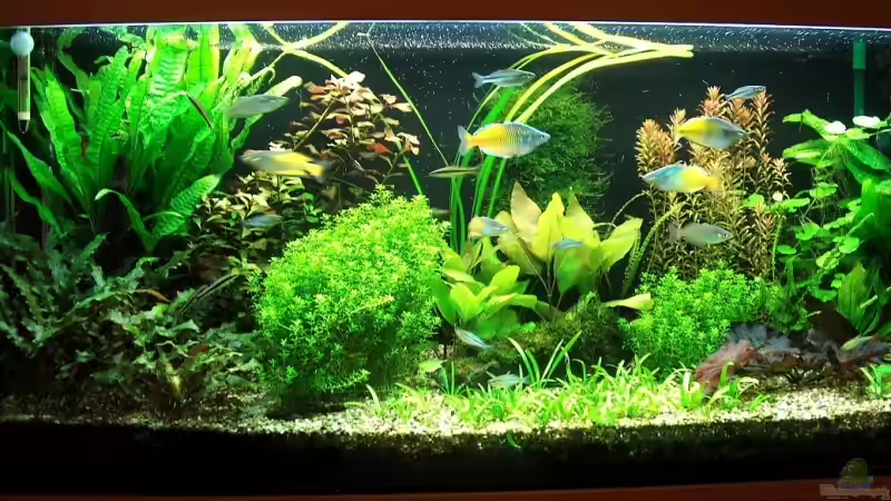 mein Hobby von Jens Ullrich