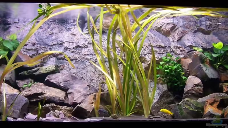 mein kleiner granitpalast ;)