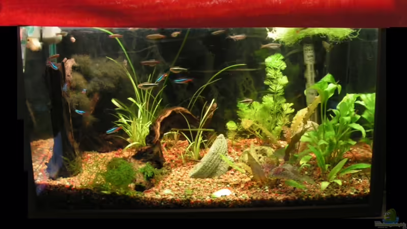 mein kleiner Liebling! von Manuela Vogt (1)