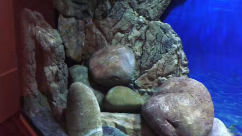 Mein kleiner Steinhaufen von Noah (16)