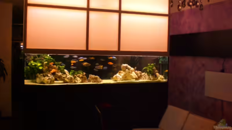 Mein kleiner Urlaub von h.p.m (2)