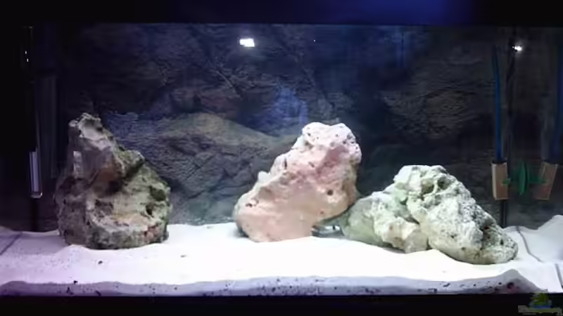 Mein kleines Kinderzimmer 60x30x30 von Nicolay Brätter (3)