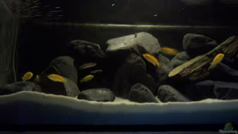 mein kleines Stück Afrika von BRANDNEW (1)